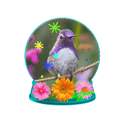 hummingbird snow globe