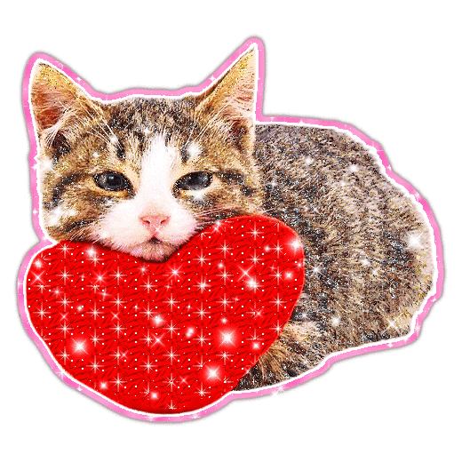 Love Cat