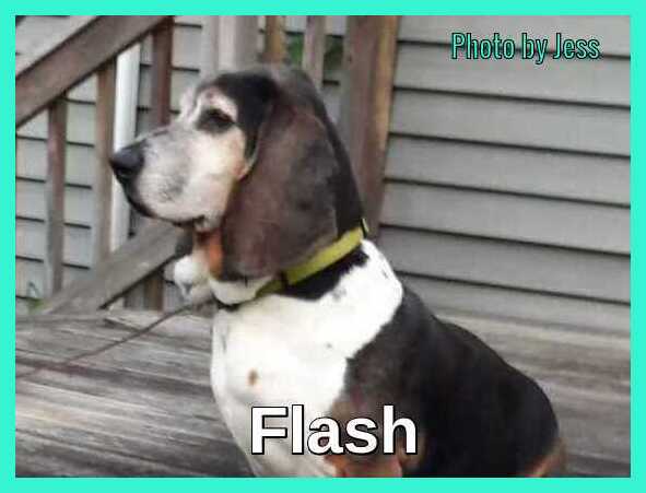 Flash with Aqua