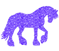 Friesian horse