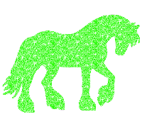 Friesian horse