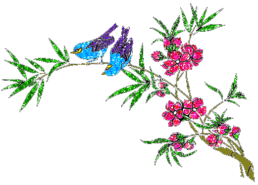 pink flowers and birds
