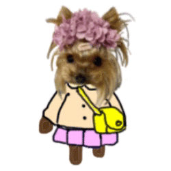 cute puppy