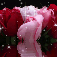 roses (in Animated GIFs)