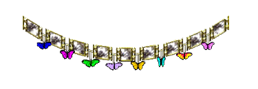 butterfly bracelet