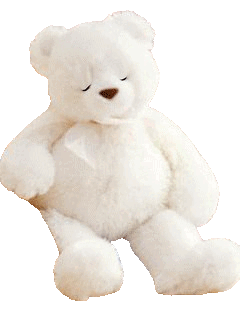 teddy bear