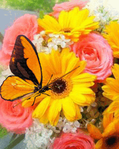 yellow and orange flowers