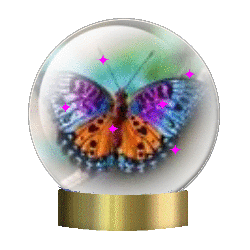 butterfly snow globe