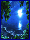 paradise at night