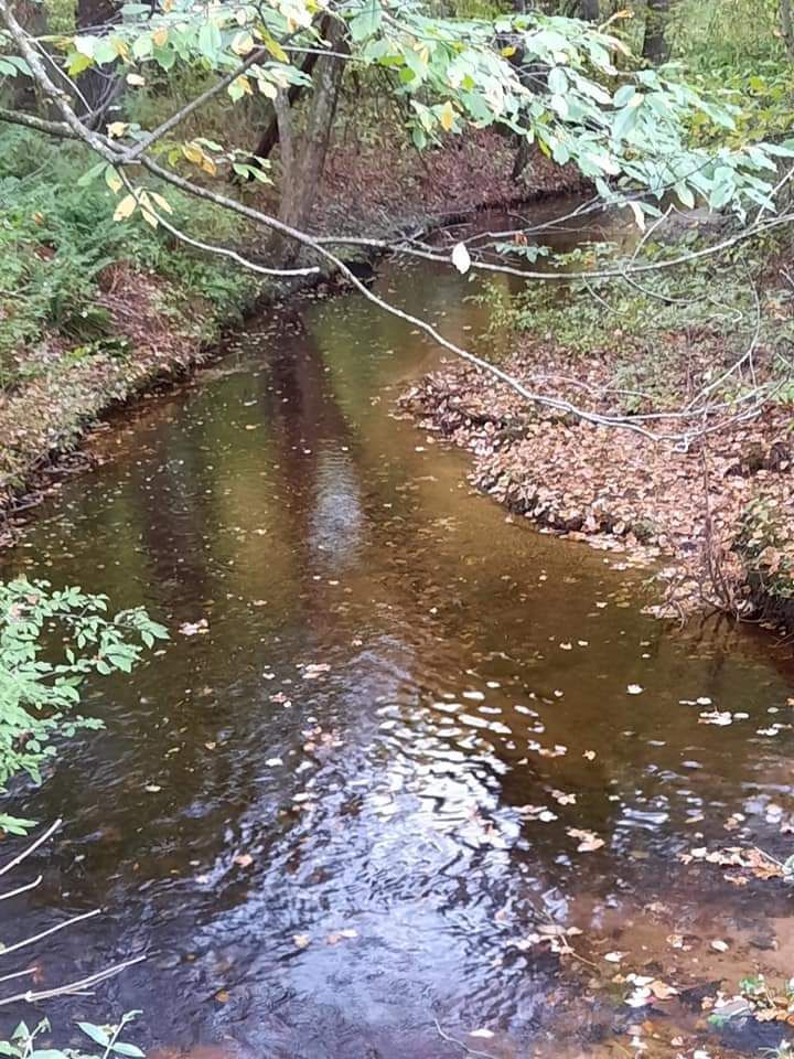 Stream