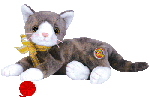 Cappuccino the cat