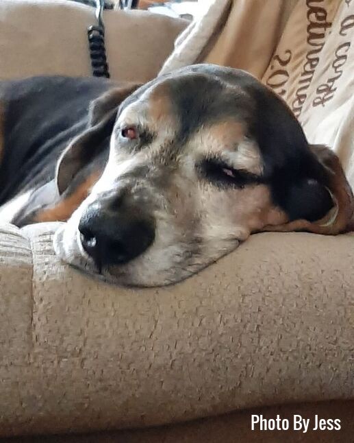 Flash Sleeping On Chair