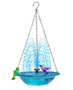 hummingbirds
