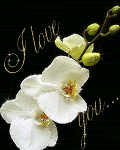 I love you