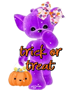 trick or treat cat