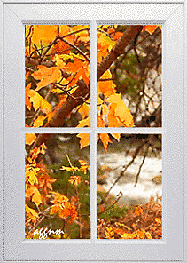 autumn leaves