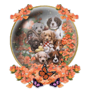 puppies snow globe