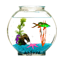 fish bowl