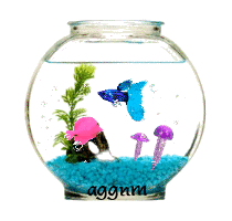 fish bowl