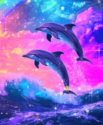 dolphins