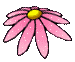 pink flower
