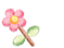 pink flower