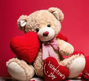 valentine bear