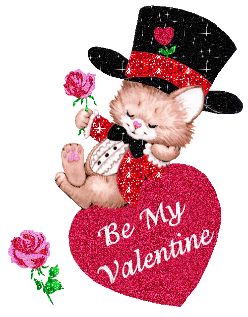 be my valentine cat