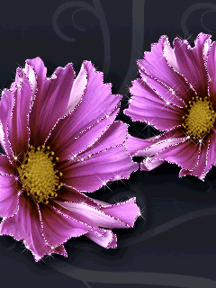 purple flowers