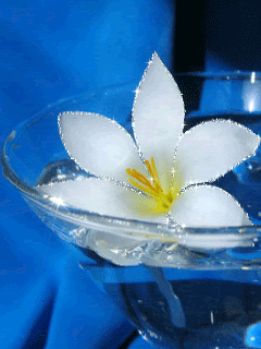white flower