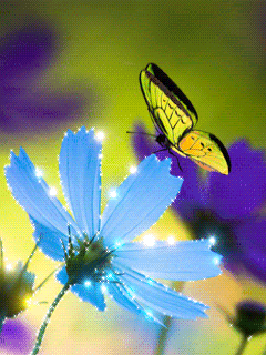 blue flower