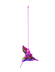 hummingbird