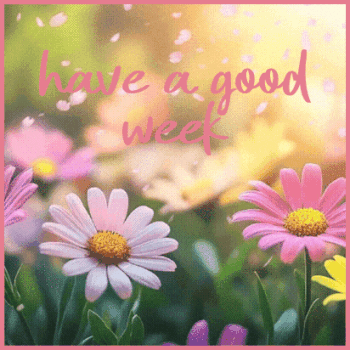 Excellent Week have a good week (in Glitter Text)