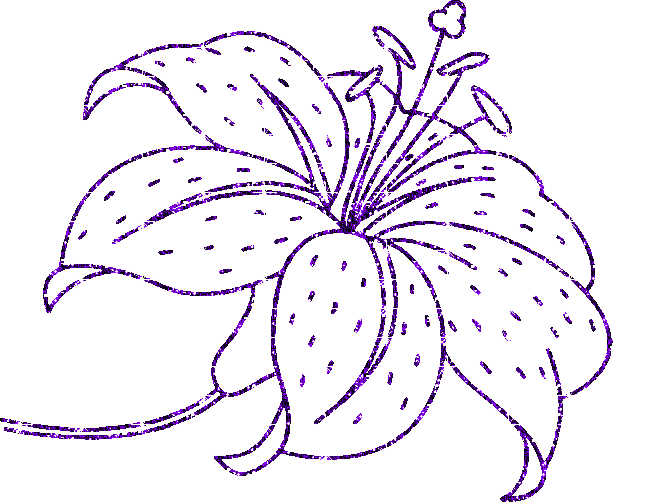 lilies