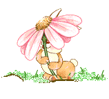 bunny playing with a flower