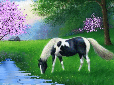 horse grazing