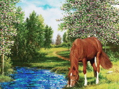 horse grazing