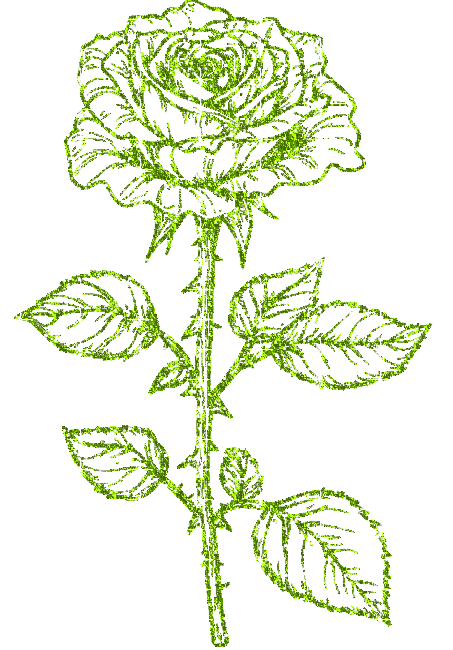 rose