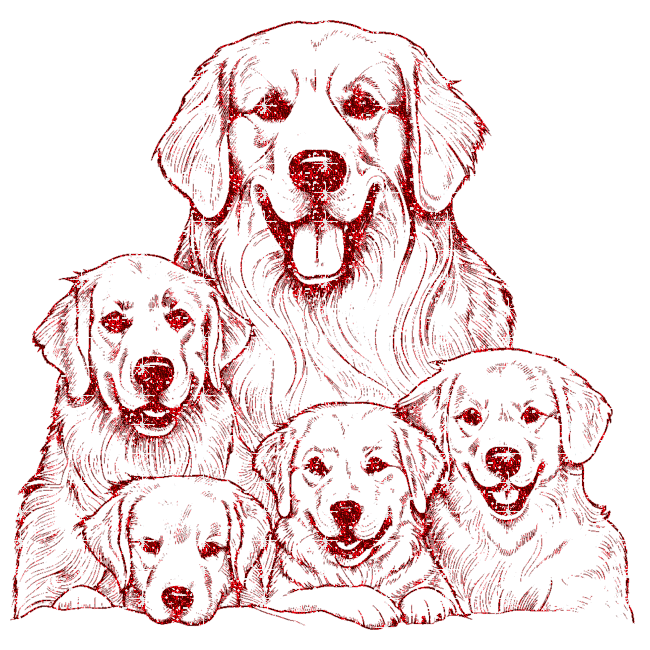 golden retriever family
