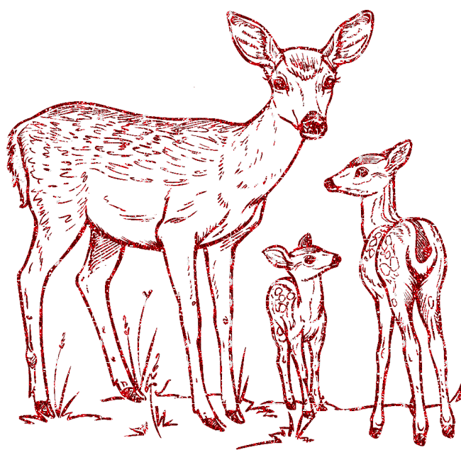 mother and baby deer