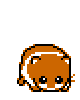 hamster yawning and sleeping