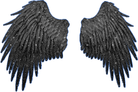 Dark Angel Wings