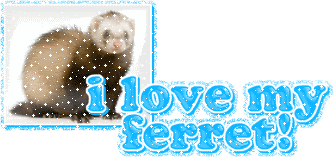 I love my ferret