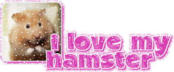 I love my hamster