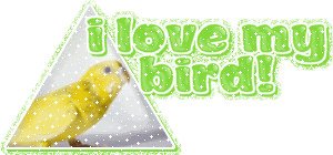 I love my bird