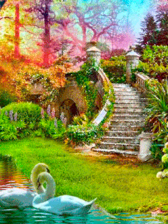 beautiful flower garden