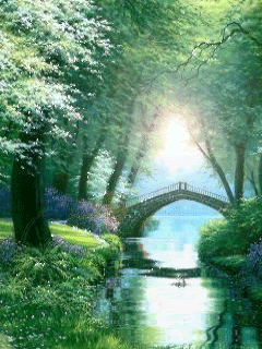 beautiful forest