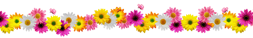 pretty flowers