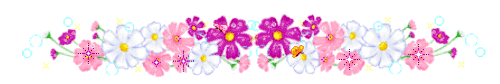 purple and pink flowers