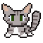 gray cat
